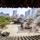 백양산 양묘장 이미지