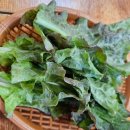 늘두루 | [내돈내산] 사천 가볼만한 맛집 두루치기 늘두루