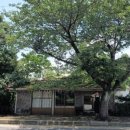 블루토마토 이미지