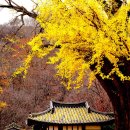 자연을 벗 삼아 걷는 길, 숨겨진 비경 간직한 ‘경상북도’ 2019.9