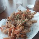 벌떡새우 이미지