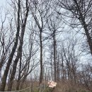 무릉도원면-27 | 명산 100_46/백덕산_먹골 주차장 코스_왕복 4시간 40분