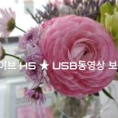 딜라이브h5 usb로 동영상보기 이미지