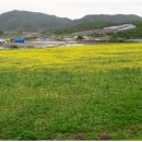 진안축산 이미지