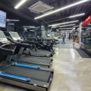 올핏 운동헬스케어 매니지먼트 이미지