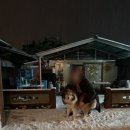 소나무PC방 이미지