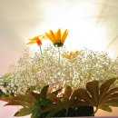 하모니카교실 이미지