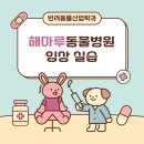 호남동물병원 | 호남대학교 반려동물산업학과 실무형 인턴십 총정리 PetXLab 1탄! 해마루동물병원 실습