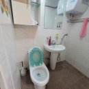 정자나무 펜션 이미지