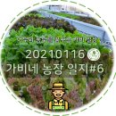 거제양어 네이버블로그