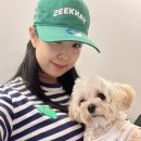 댕스기빙데이 | 새해다짐 기록