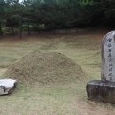 강릉모루도서관 이미지