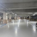 강남-291 이미지