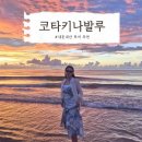 심투어 | 코타키나발루 제셀톤 투어 내돈내산 후기(마무틱섬, 사피섬, 원숭이, 선셋, 반딧불이)