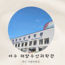 여수 아이랑 가볼만한곳 해양수산과학관 아쿠아리움 여수 여행 코스 실내 갈만한곳