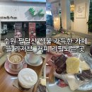 수원시 팔달구 향교로137번길 | 행궁동 식물원 감성 카페_ 팔달산 힐링 공간, 뜰 리저브 내돈내산 솔직 후기(커피 리필되는곳)