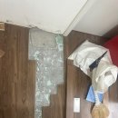 주은청설아파트앞 이미지