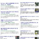 박근혜 취임 15개월… 이미지