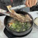 더드림에너지