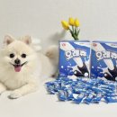 베리굿덴탈랩 | 강아지덴탈껌 치석제거 개껌 치주염 관리 슈퍼포우오래츄