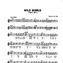 Mr. Big / Wild World 악보 이미지