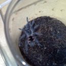 하계역(7호선) 이미지