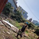 평동카센타 이미지