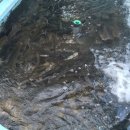 섬진강메기매운탕전문점 이미지