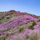 황금장여관 이미지