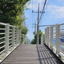 니트디자인(야간) 이미지