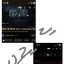 유르르 Daum카페