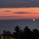 오션바이브 이미지