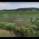 화성바이오공인중개사사무소 이미지