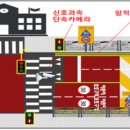 서울맹,농학교 노컷뉴스