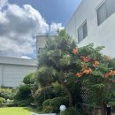 중성동111 이미지