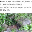 ☆[나홀로,2일-3] ('26.8.12, 수) 지리산 뱀사골계곡-반선-남원역(산토끼) 이미지