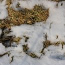 도촌농장 이미지