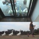 김재윤농장 이미지