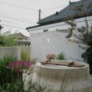 스테이 소이 이미지