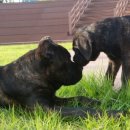 대풍슈퍼 이미지