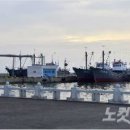 희한수산 노컷뉴스