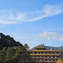 성도주유소 이미지