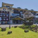 엉덩물횟집 이미지