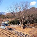 운곡리 티스토리