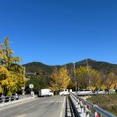 거창식육점 이미지