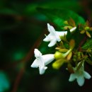 광주체육고등학교 이미지