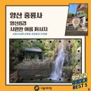 베스트대리점 이미지