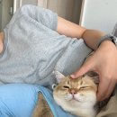 낭낭그루밍 이미지