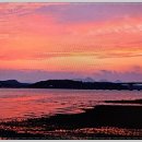 대포갯벌 이미지