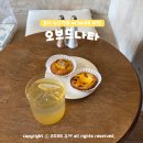 11500-5-60-05 | 울산 남구 카페 혼자 놀기 여행 선물 맛집 오브드나타 에그타르트 포장 후기